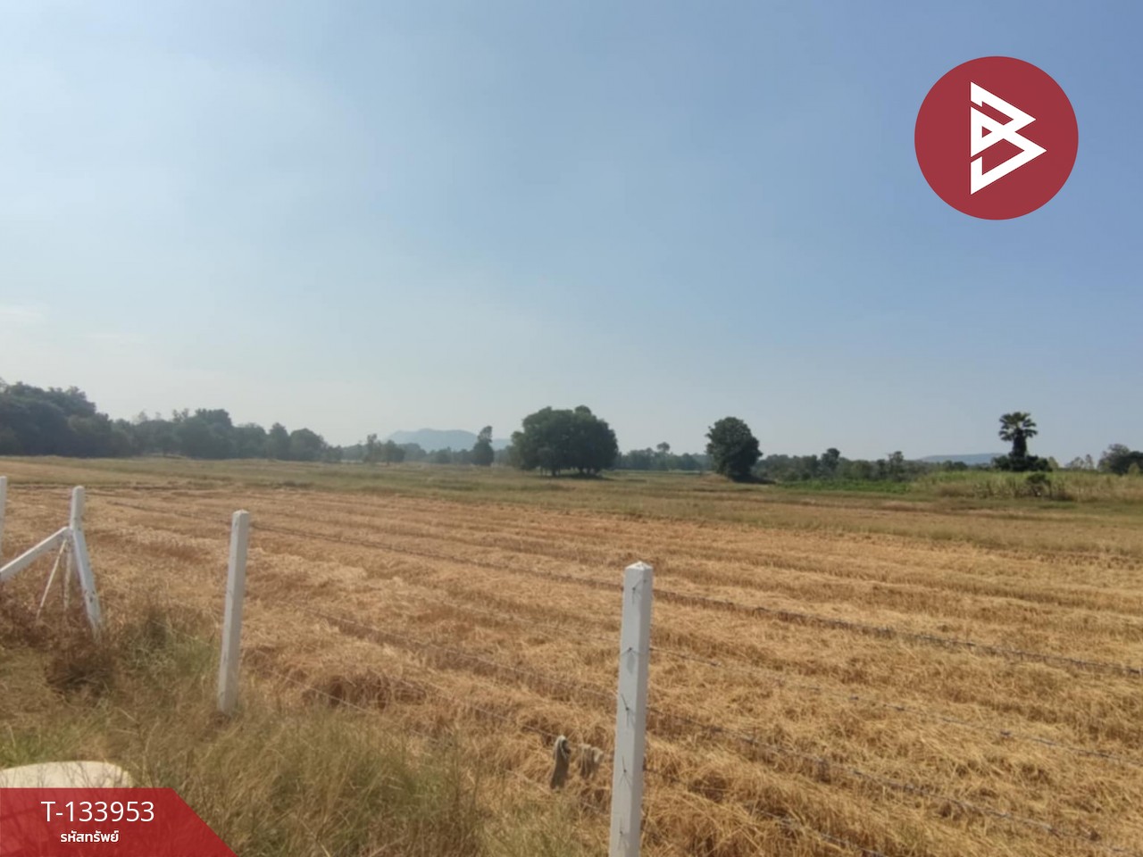 ขายที่ดิน เนื้อที่ 2 งาน จอมบึง ราชบุรี 10