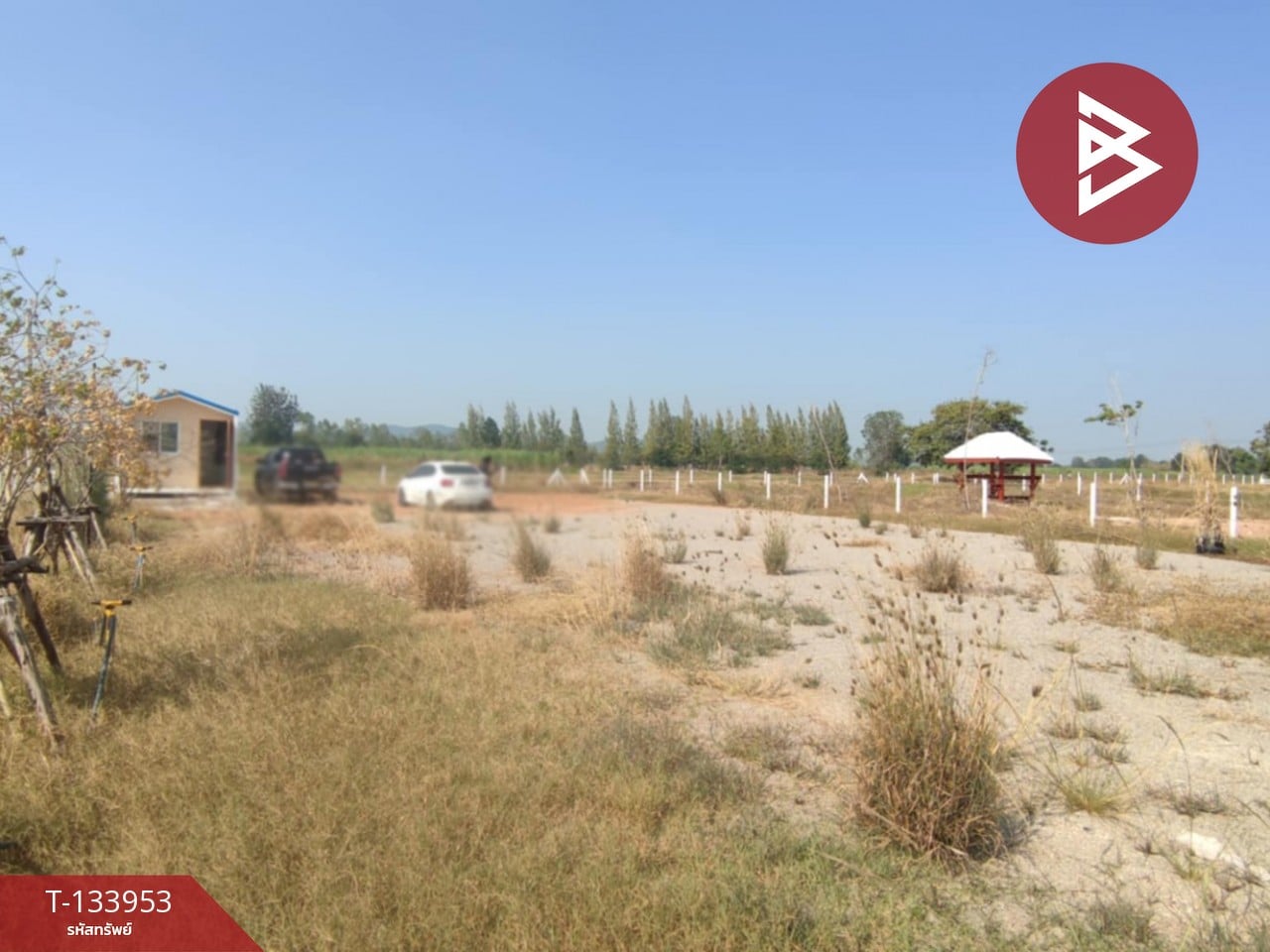 ขายที่ดิน เนื้อที่ 2 งาน จอมบึง ราชบุรี 2