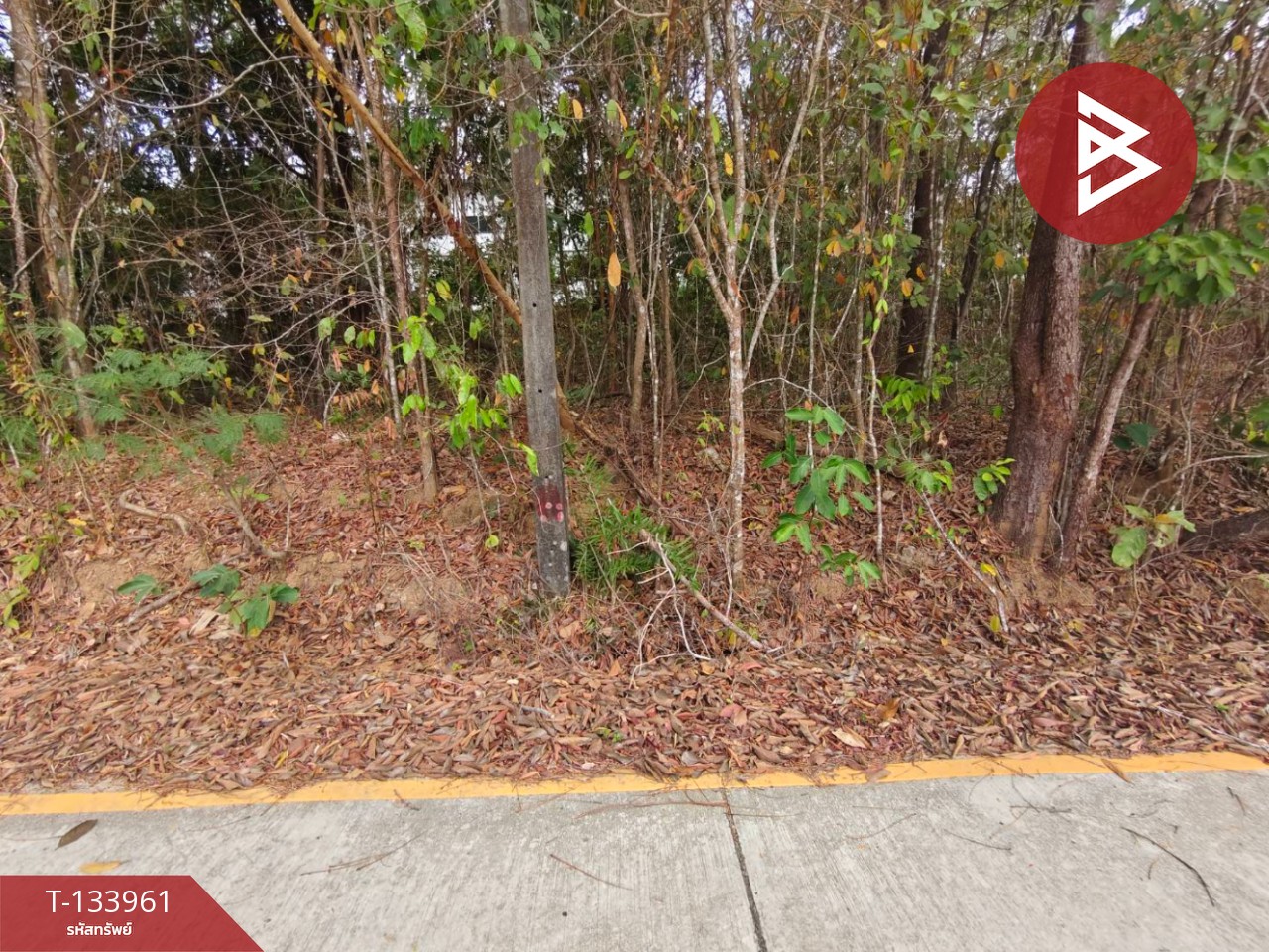 ขายที่ดิน เนื้อที่ 3 งาน 44.4 ตร.วา ท่าช้าง จันทบุรี 3