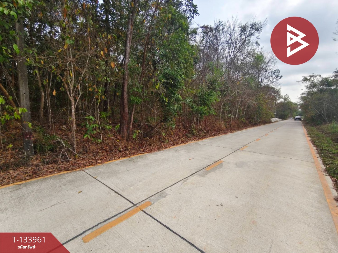 ขายที่ดิน เนื้อที่ 3 งาน 44.4 ตร.วา ท่าช้าง จันทบุรี 5