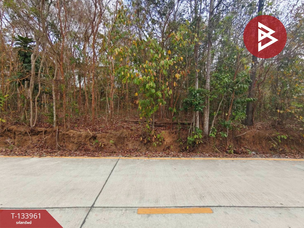 ขายที่ดิน เนื้อที่ 3 งาน 44.4 ตร.วา ท่าช้าง จันทบุรี 6