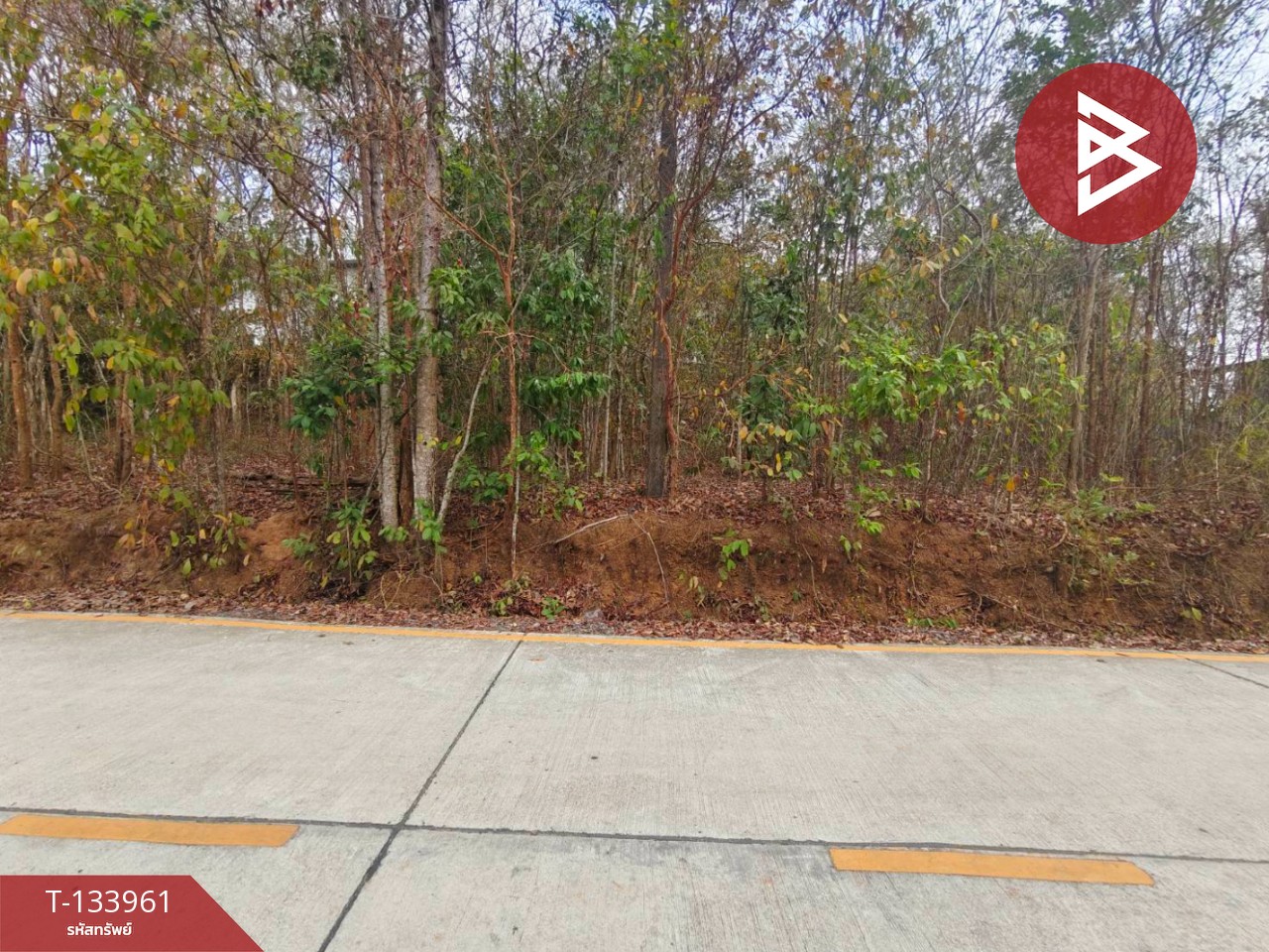 ขายที่ดิน เนื้อที่ 3 งาน 44.4 ตร.วา ท่าช้าง จันทบุรี 7