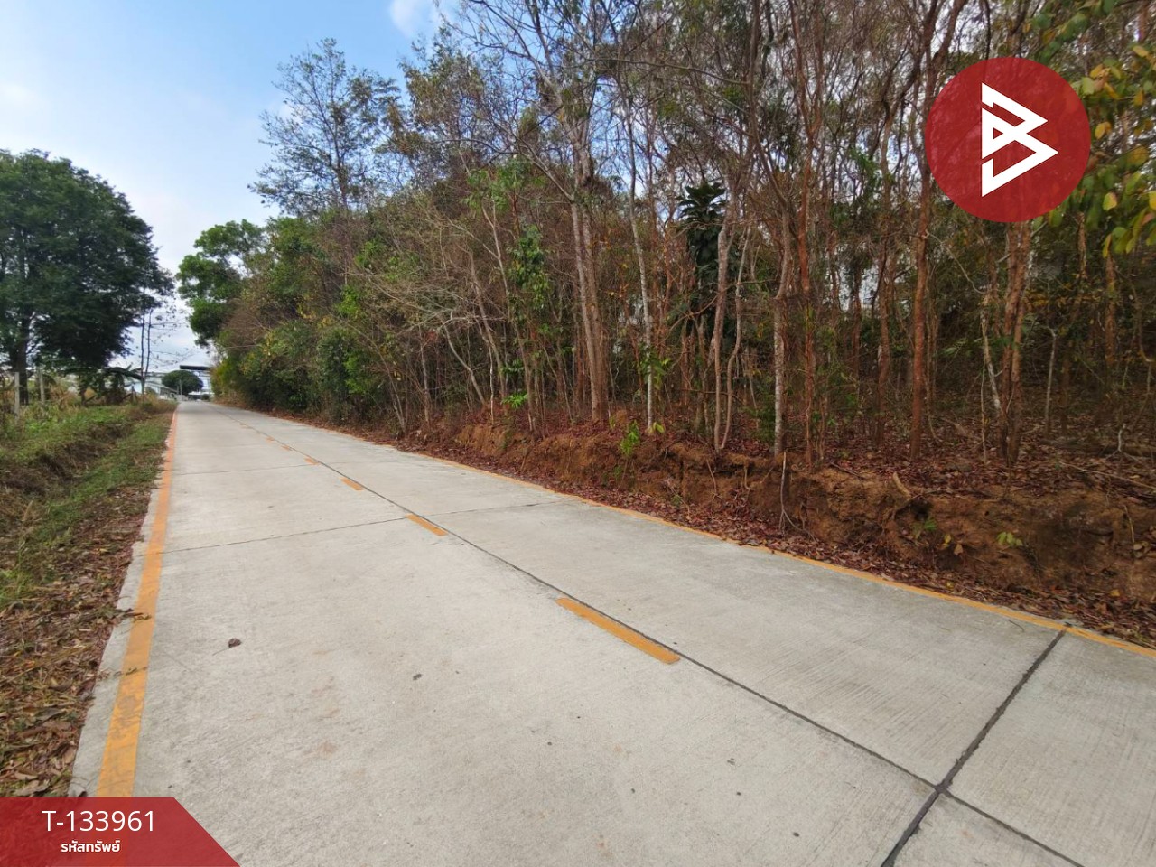 ขายที่ดิน เนื้อที่ 3 งาน 44.4 ตร.วา ท่าช้าง จันทบุรี 8