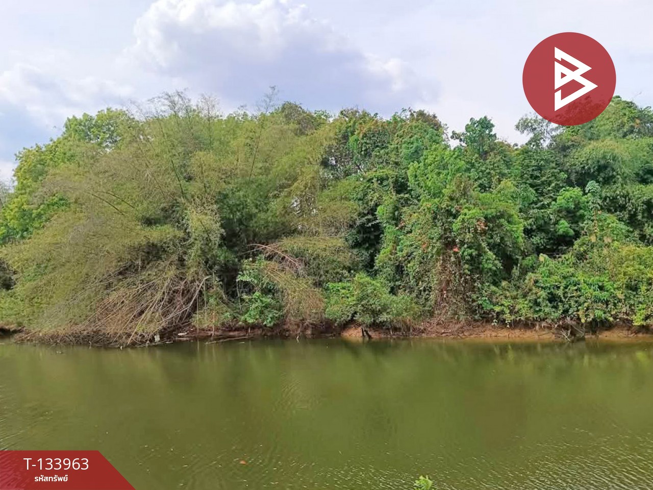 ขายที่ดินริมน้ำ เนื้อที่ 4 ไร่ 65 ตารางวา ท่าช้าง จันทบุรี 6