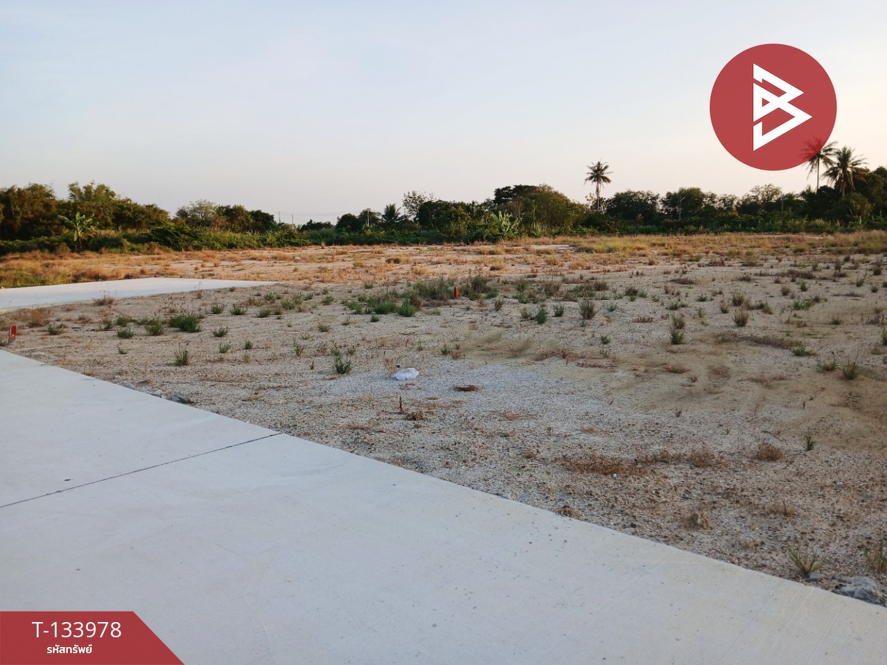 ขายที่ดิน เนื้อที่ 1 ไร่ 30 ตร.วา นครชัยศรี นครปฐม 7