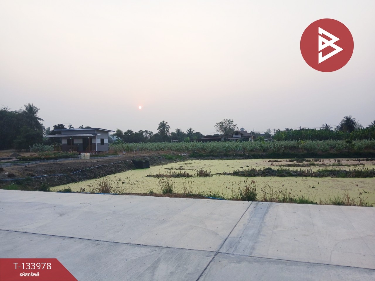 ขายที่ดิน เนื้อที่ 1 ไร่ 30 ตร.วา นครชัยศรี นครปฐม 11