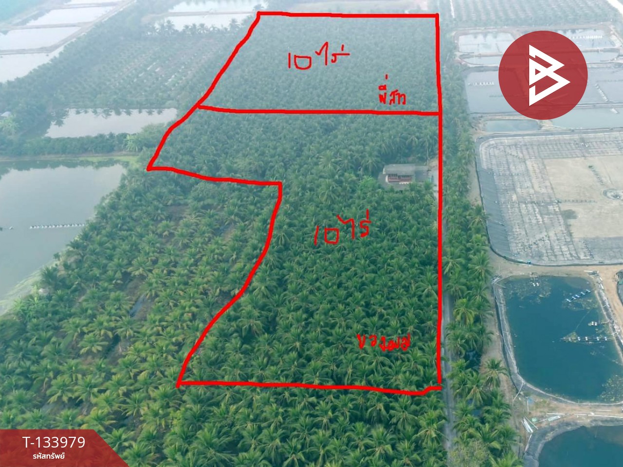 ขายที่ดินพร้อมสิ่งปลูกสร้าง เนื้อที่ 10 ไร่ บ้านแพ้ว สมุทรสาคร 9