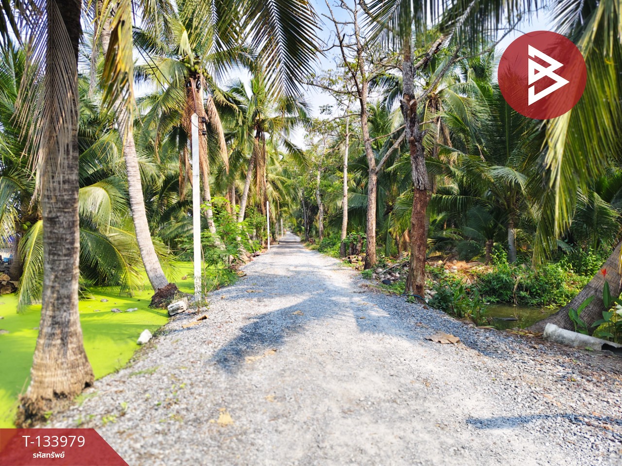 ขายที่ดินพร้อมสิ่งปลูกสร้าง เนื้อที่ 10 ไร่ บ้านแพ้ว สมุทรสาคร 6