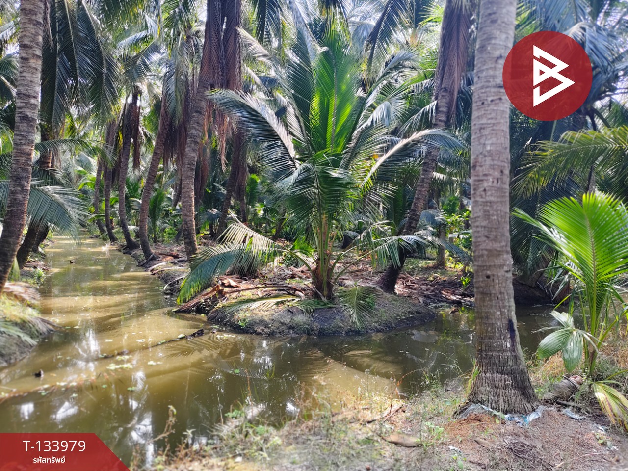 ขายที่ดินพร้อมสิ่งปลูกสร้าง เนื้อที่ 10 ไร่ บ้านแพ้ว สมุทรสาคร 5