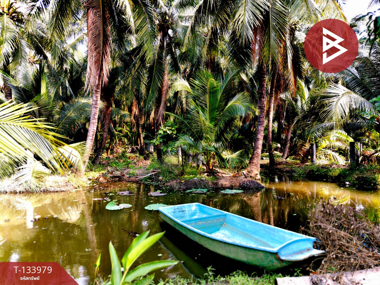 ขายที่ดินพร้อมสิ่งปลูกสร้าง เนื้อที่ 10 ไร่ บ้านแพ้ว สมุทรสาคร 4