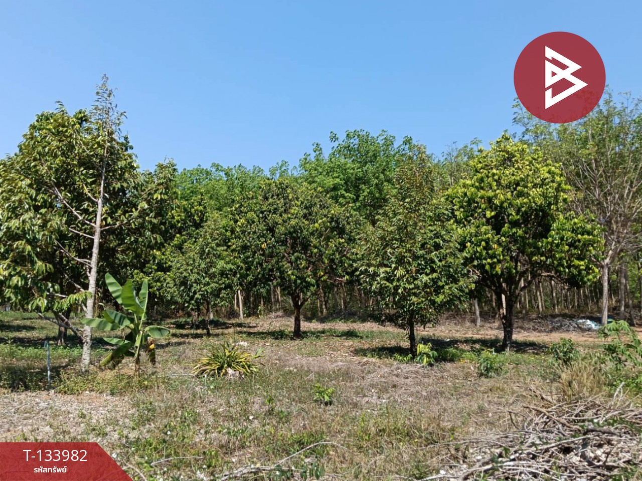 ขายที่ดิน เนื้อที่ 99 ไร่ 2 งาน 18.3 ตร.วา เขาสมิง ตราด 2