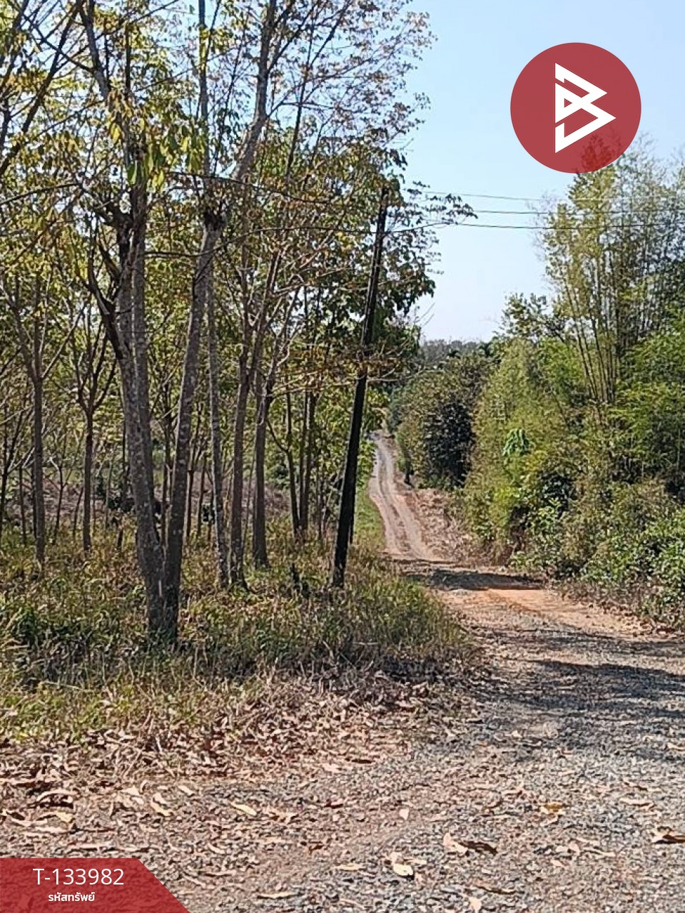 ขายที่ดิน เนื้อที่ 99 ไร่ 2 งาน 18.3 ตร.วา เขาสมิง ตราด 12