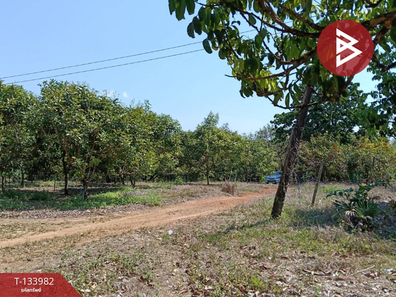 ขายที่ดิน เนื้อที่ 99 ไร่ 2 งาน 18.3 ตร.วา เขาสมิง ตราด 6