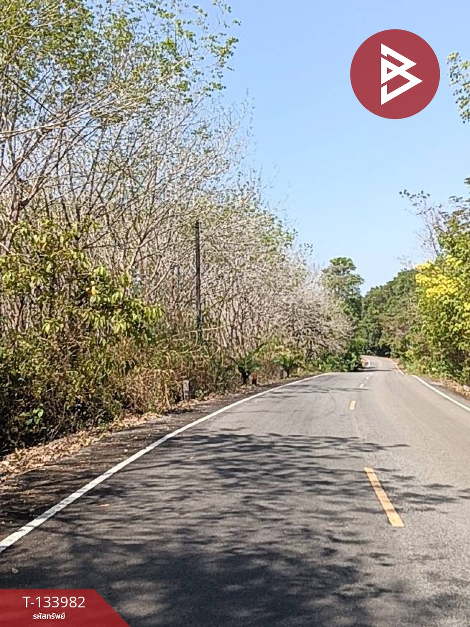 ขายที่ดิน เนื้อที่ 99 ไร่ 2 งาน 18.3 ตร.วา เขาสมิง ตราด 13