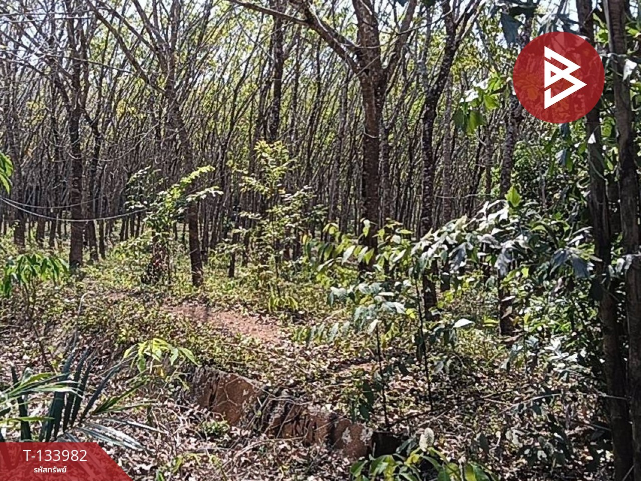 ขายที่ดิน เนื้อที่ 99 ไร่ 2 งาน 18.3 ตร.วา เขาสมิง ตราด 9