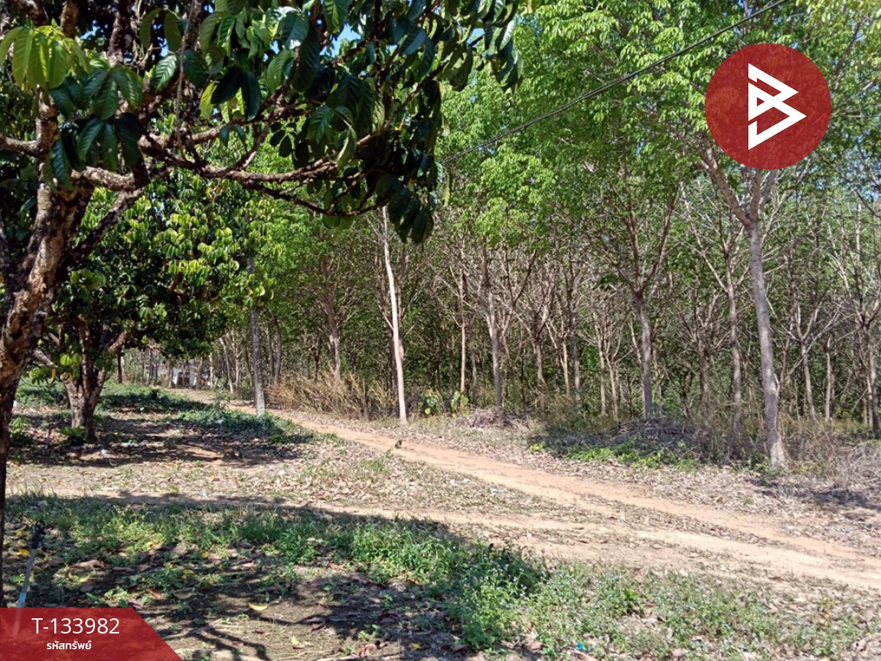 ขายที่ดิน เนื้อที่ 99 ไร่ 2 งาน 18.3 ตร.วา เขาสมิง ตราด 10