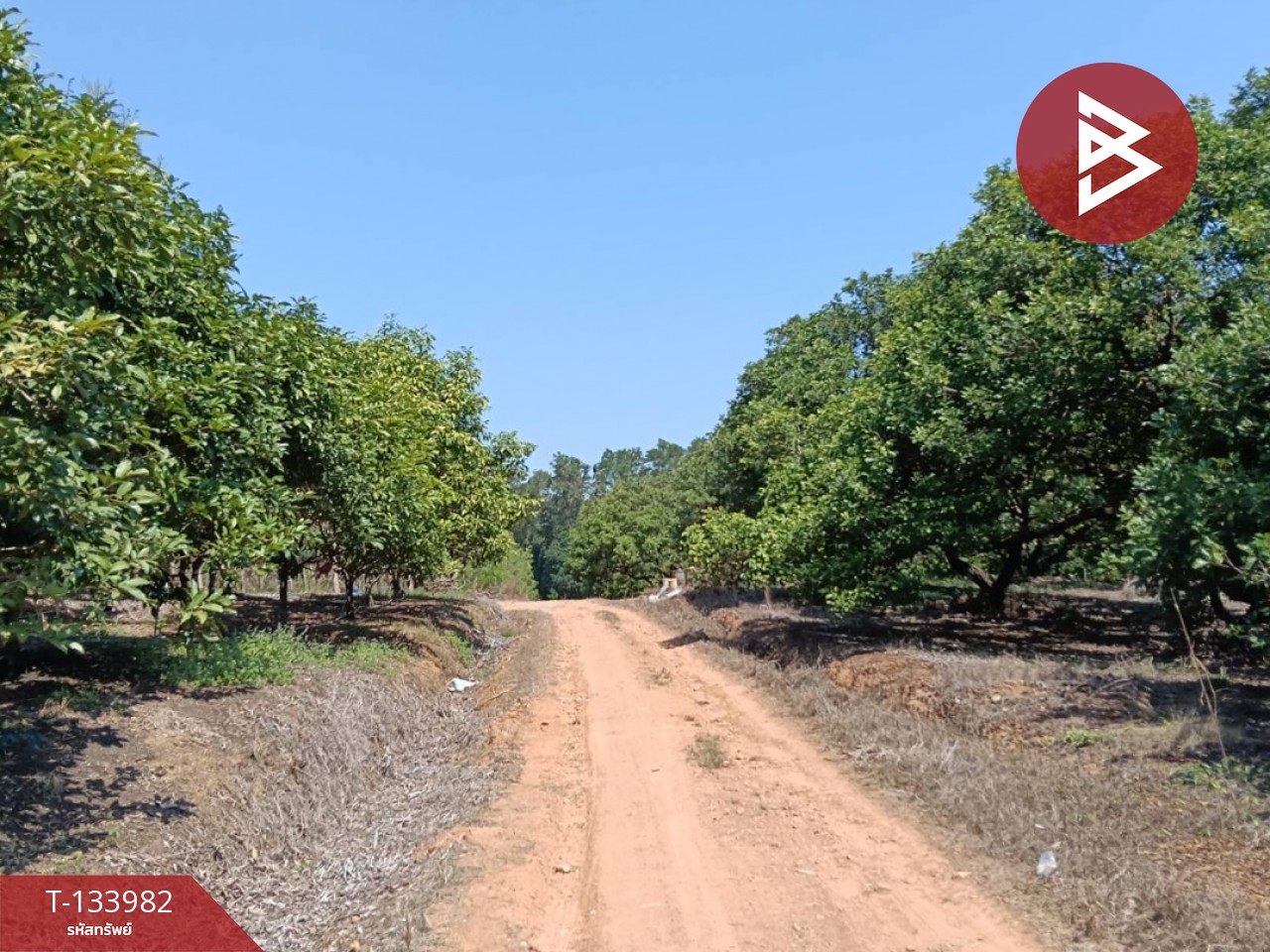 ขายที่ดิน เนื้อที่ 99 ไร่ 2 งาน 18.3 ตร.วา เขาสมิง ตราด 8