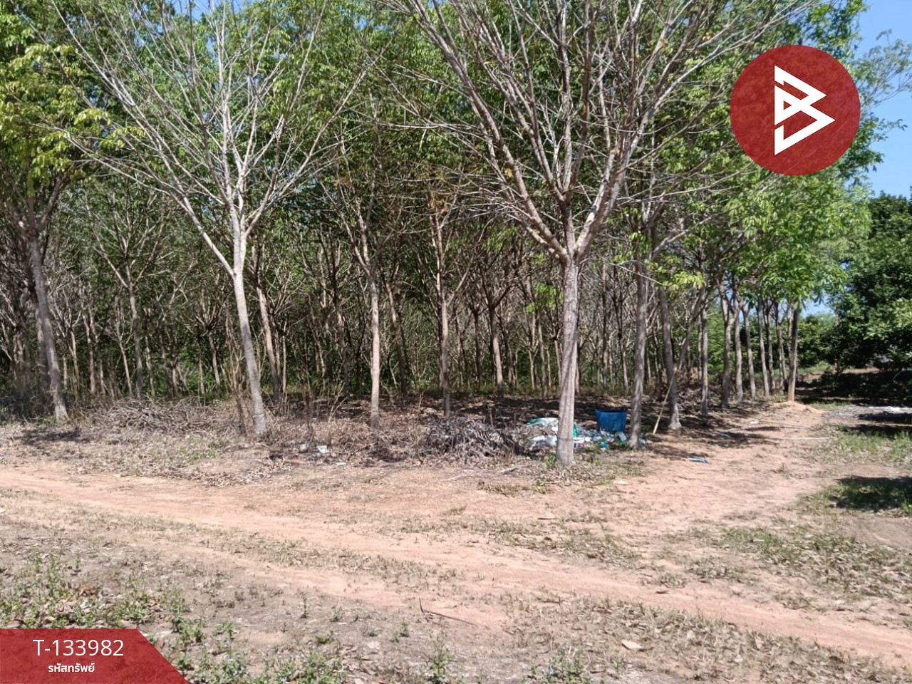 ขายที่ดิน เนื้อที่ 99 ไร่ 2 งาน 18.3 ตร.วา เขาสมิง ตราด 11