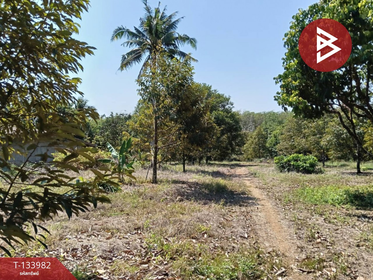 ขายที่ดิน เนื้อที่ 99 ไร่ 2 งาน 18.3 ตร.วา เขาสมิง ตราด 7