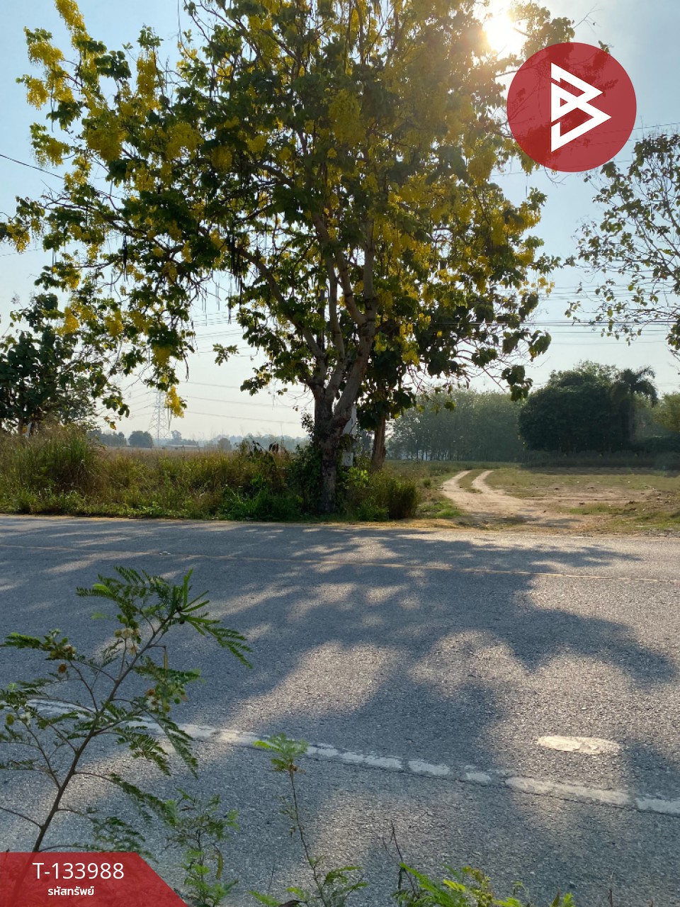 ขายที่ดิน เนื้อที่ 7 ไร่ นิคมพัฒนา ระยอง 6