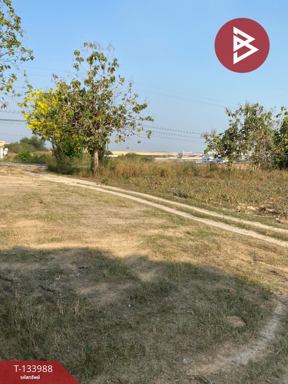 ขายที่ดิน เนื้อที่ 7 ไร่ นิคมพัฒนา ระยอง 3