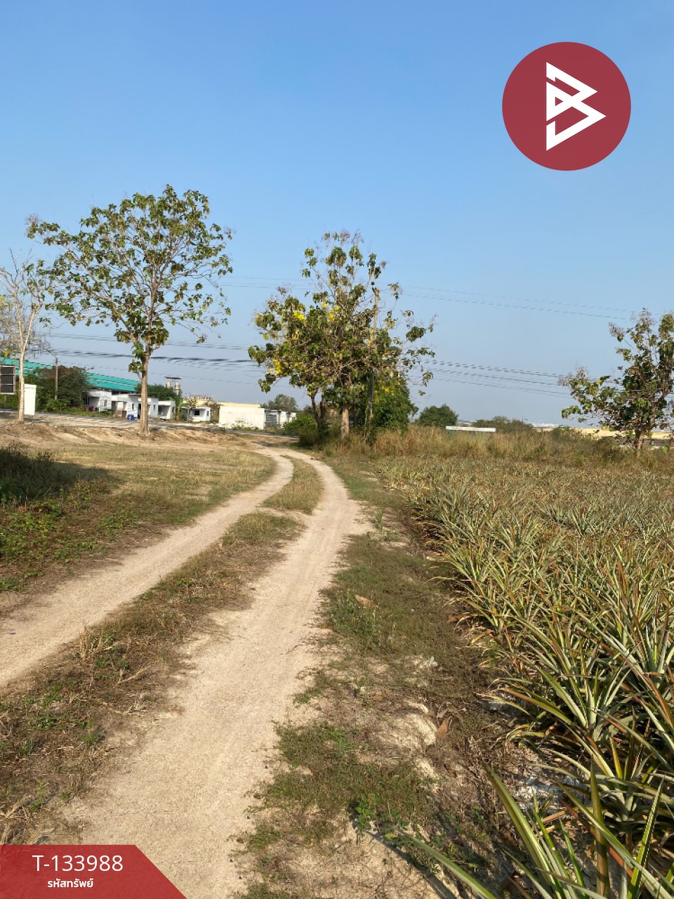 ขายที่ดิน เนื้อที่ 7 ไร่ นิคมพัฒนา ระยอง 2