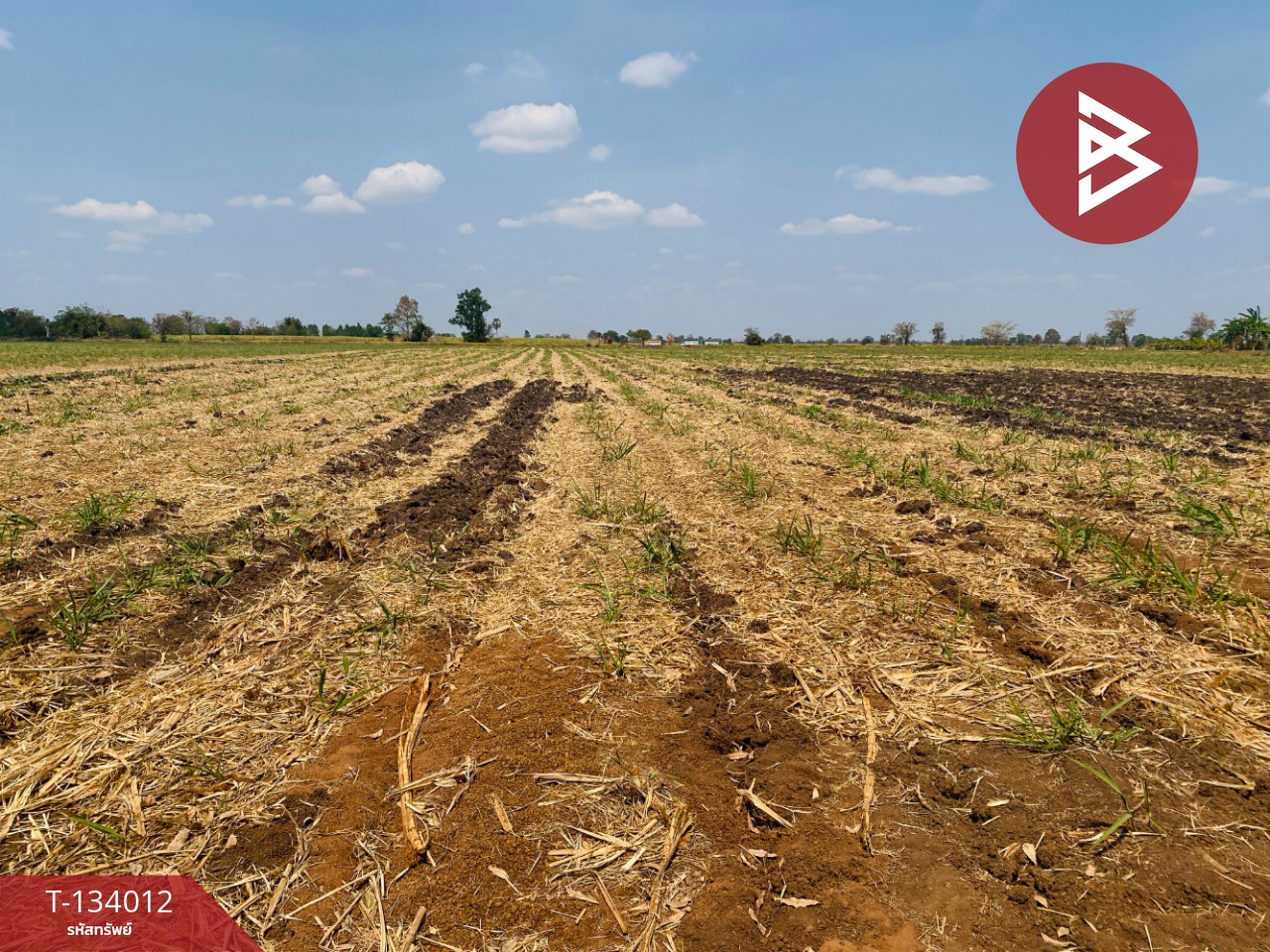 ขายที่ดินสวย เนื้อที่ 20 ไร่ 3 งาน 66 ตารางวา หนองบุญมาก นครราชสีมา ใกล้ถนน 24 14