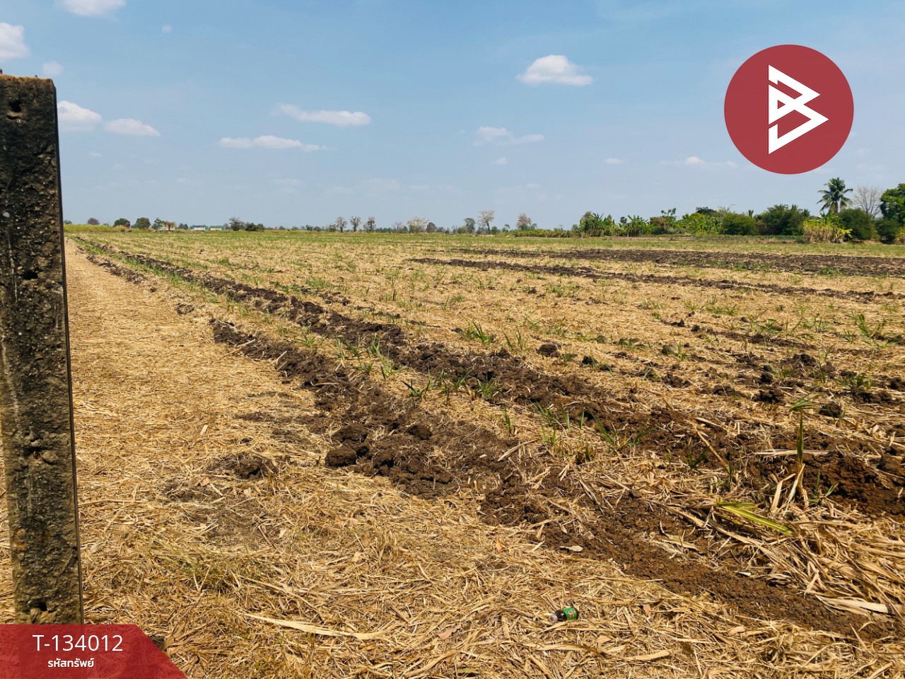 ขายที่ดินสวย เนื้อที่ 20 ไร่ 3 งาน 66 ตารางวา หนองบุญมาก นครราชสีมา ใกล้ถนน 24 13