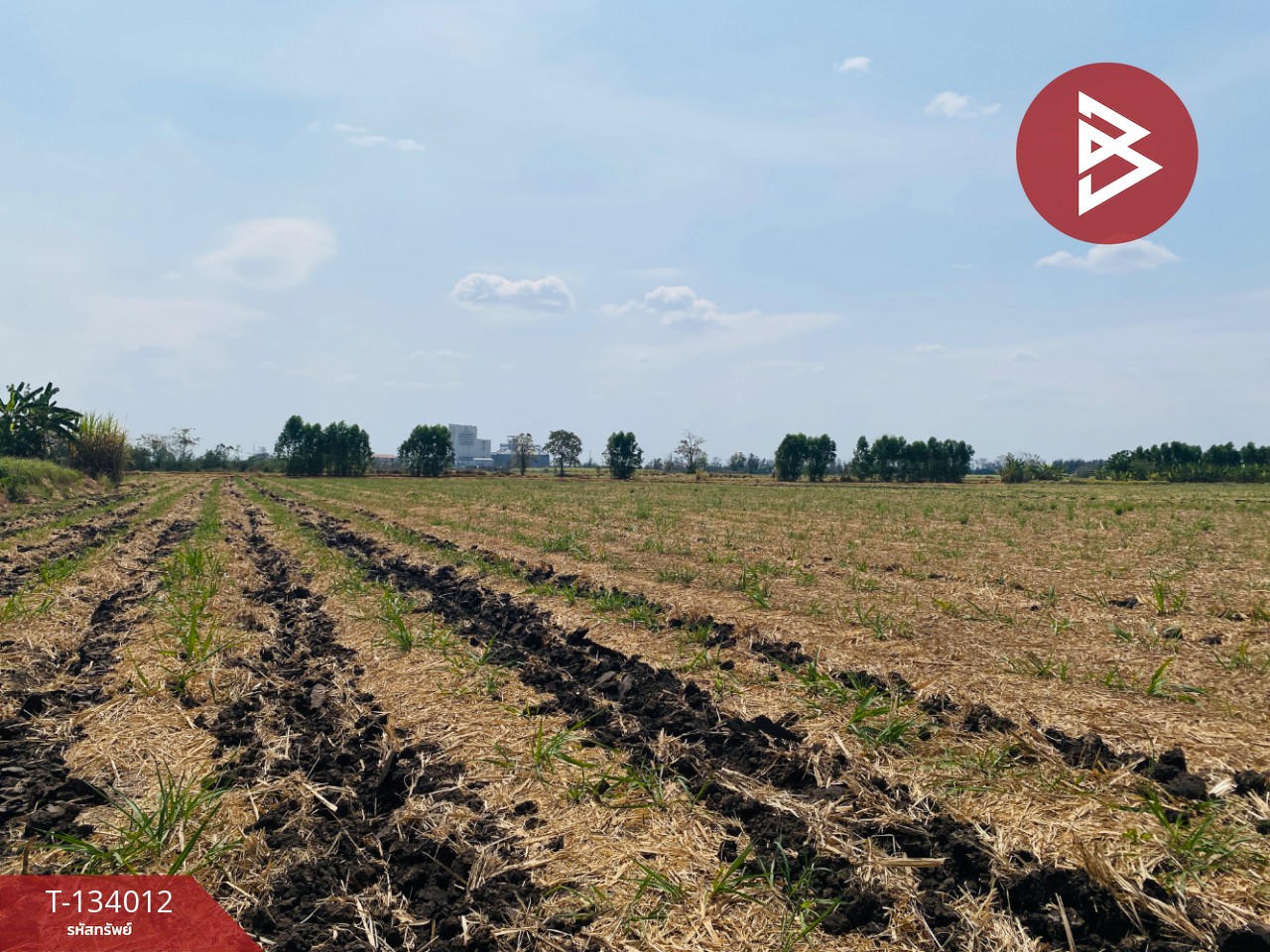 ขายที่ดินสวย เนื้อที่ 20 ไร่ 3 งาน 66 ตารางวา หนองบุญมาก นครราชสีมา ใกล้ถนน 24 6