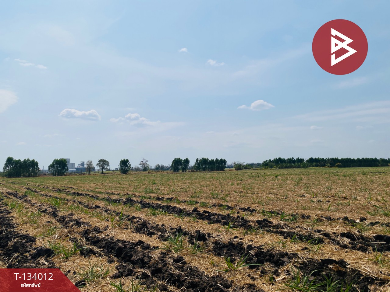 ขายที่ดินสวย เนื้อที่ 20 ไร่ 3 งาน 66 ตารางวา หนองบุญมาก นครราชสีมา ใกล้ถนน 24 1