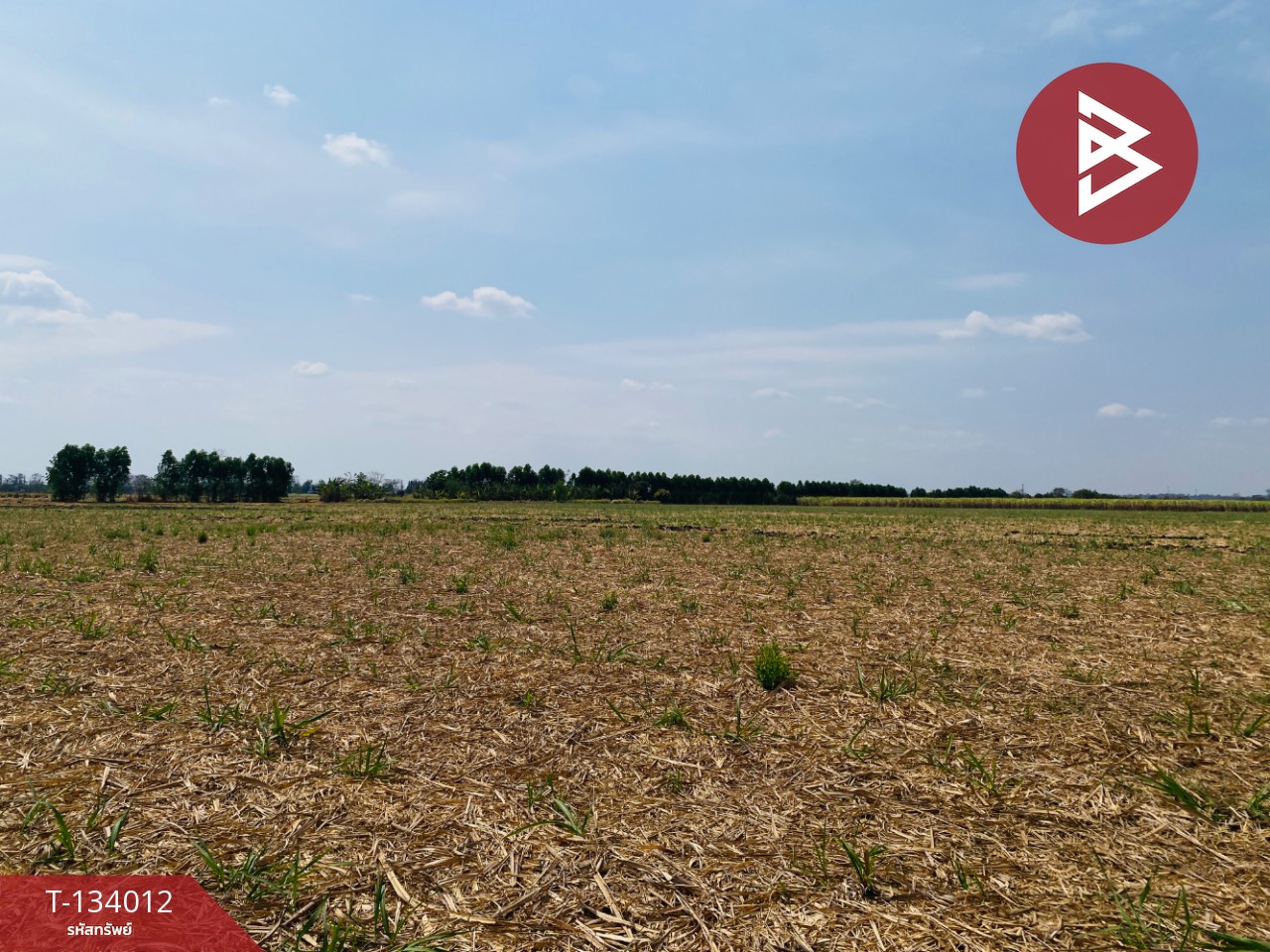 ขายที่ดินสวย เนื้อที่ 20 ไร่ 3 งาน 66 ตารางวา หนองบุญมาก นครราชสีมา ใกล้ถนน 24 7