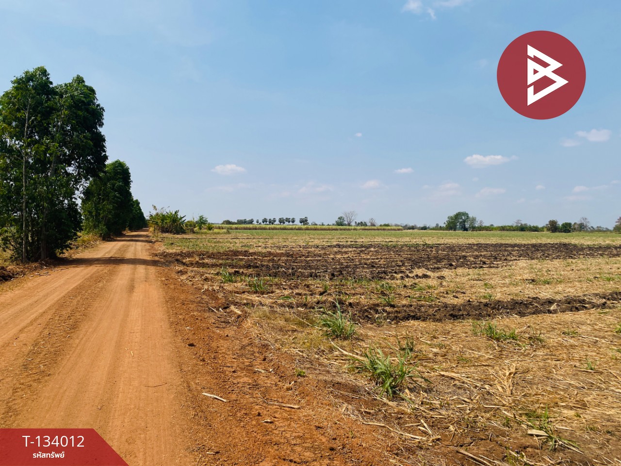 ขายที่ดินสวย เนื้อที่ 20 ไร่ 3 งาน 66 ตารางวา หนองบุญมาก นครราชสีมา ใกล้ถนน 24 2