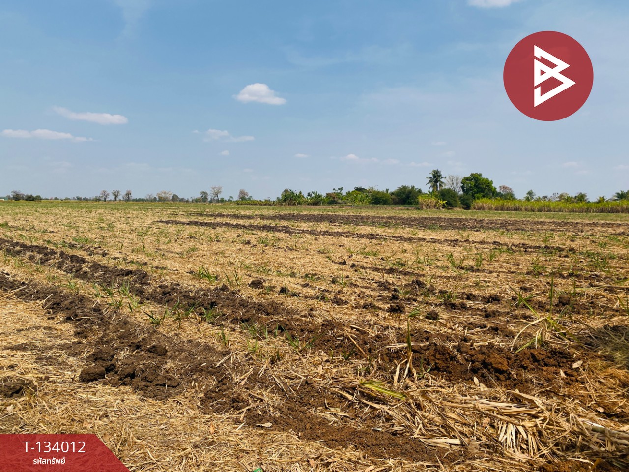 ขายที่ดินสวย เนื้อที่ 20 ไร่ 3 งาน 66 ตารางวา หนองบุญมาก นครราชสีมา ใกล้ถนน 24 5