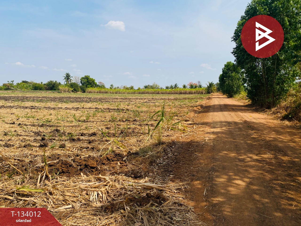 ขายที่ดินสวย เนื้อที่ 20 ไร่ 3 งาน 66 ตารางวา หนองบุญมาก นครราชสีมา ใกล้ถนน 24 4