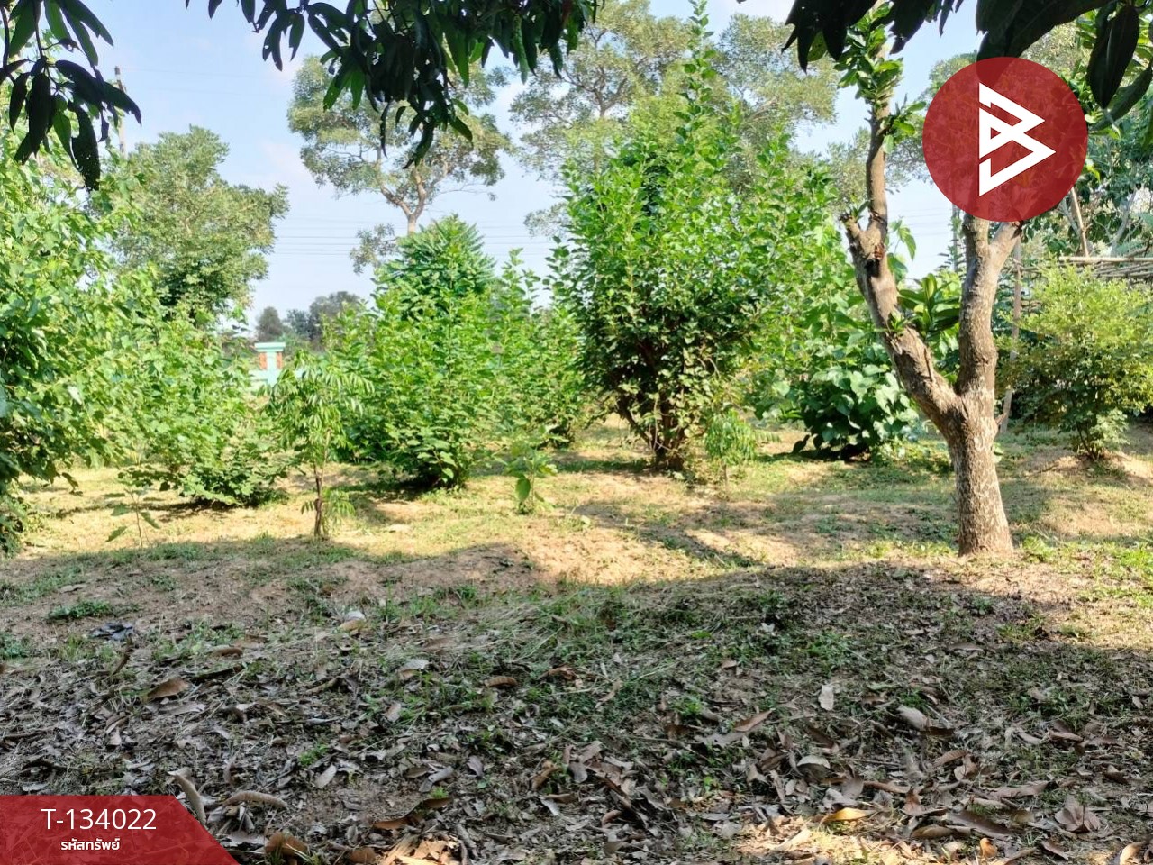 ขายบ้านเดี่ยวพร้อมที่ดิน เนื้อที่ 4 ไร่ 1 งาน 8 ตร.วา บ้านกร่าง พิษณุโลก 11