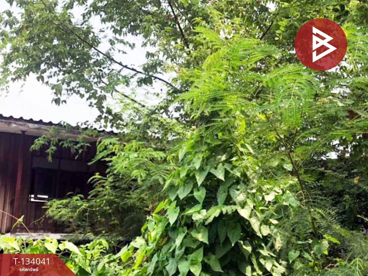 ขายที่ดินเปล่า เนื้อที่ 59 ตร.วา ปากเกร็ด นนทบุรี 4