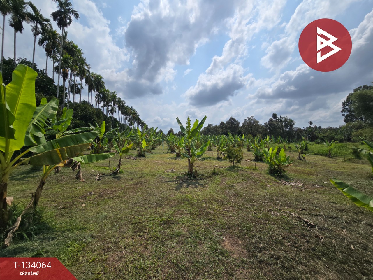 ขายที่ดิน เนื้อที่ 7 ไร่ 1 งาน 32 ตร.วา ท่าใหม่ จันทบุรี 13