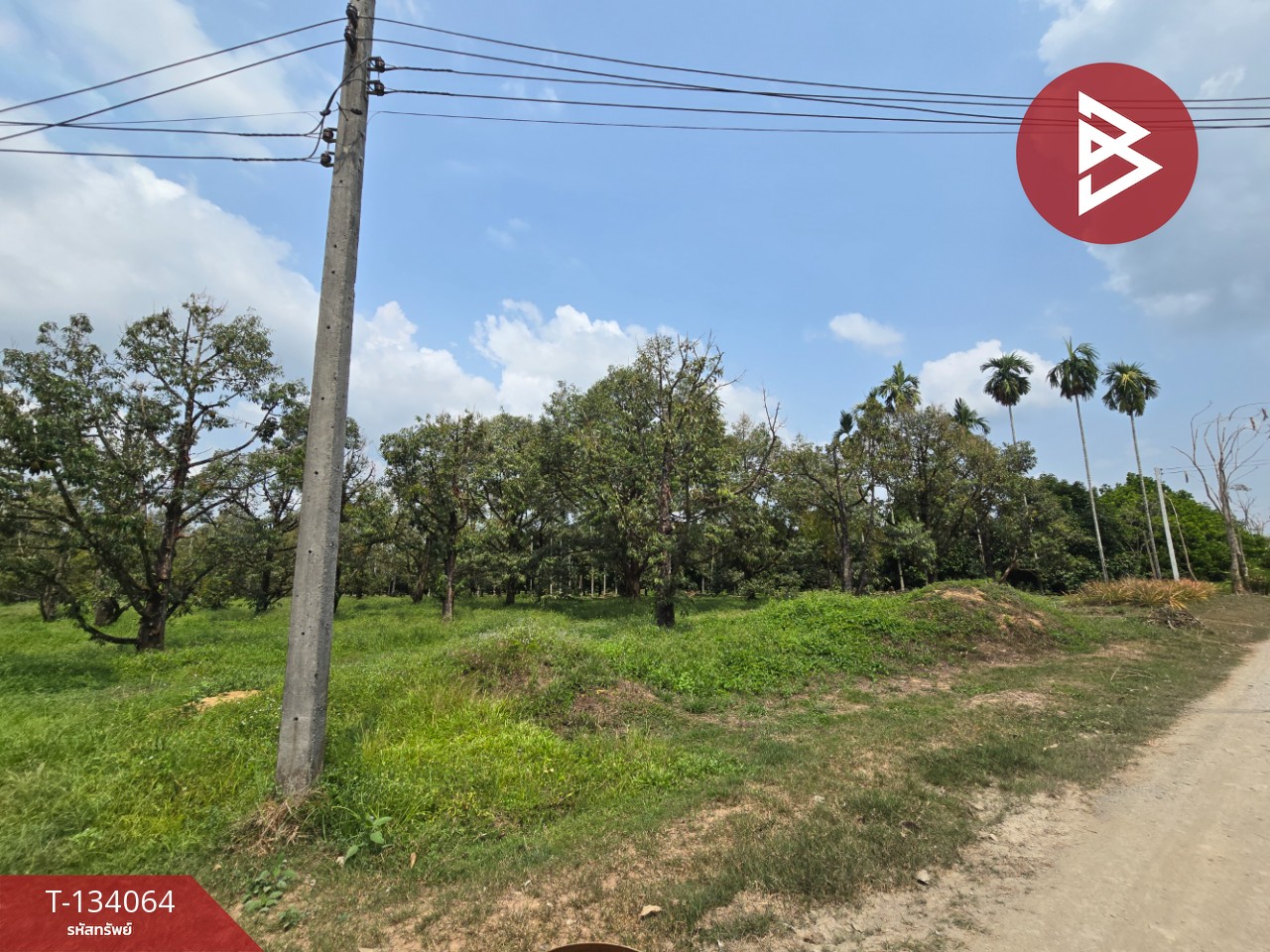 ขายที่ดิน เนื้อที่ 7 ไร่ 1 งาน 32 ตร.วา ท่าใหม่ จันทบุรี 15