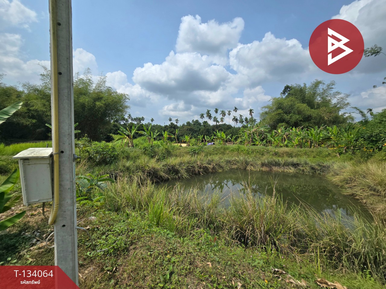 ขายที่ดิน เนื้อที่ 7 ไร่ 1 งาน 32 ตร.วา ท่าใหม่ จันทบุรี 14