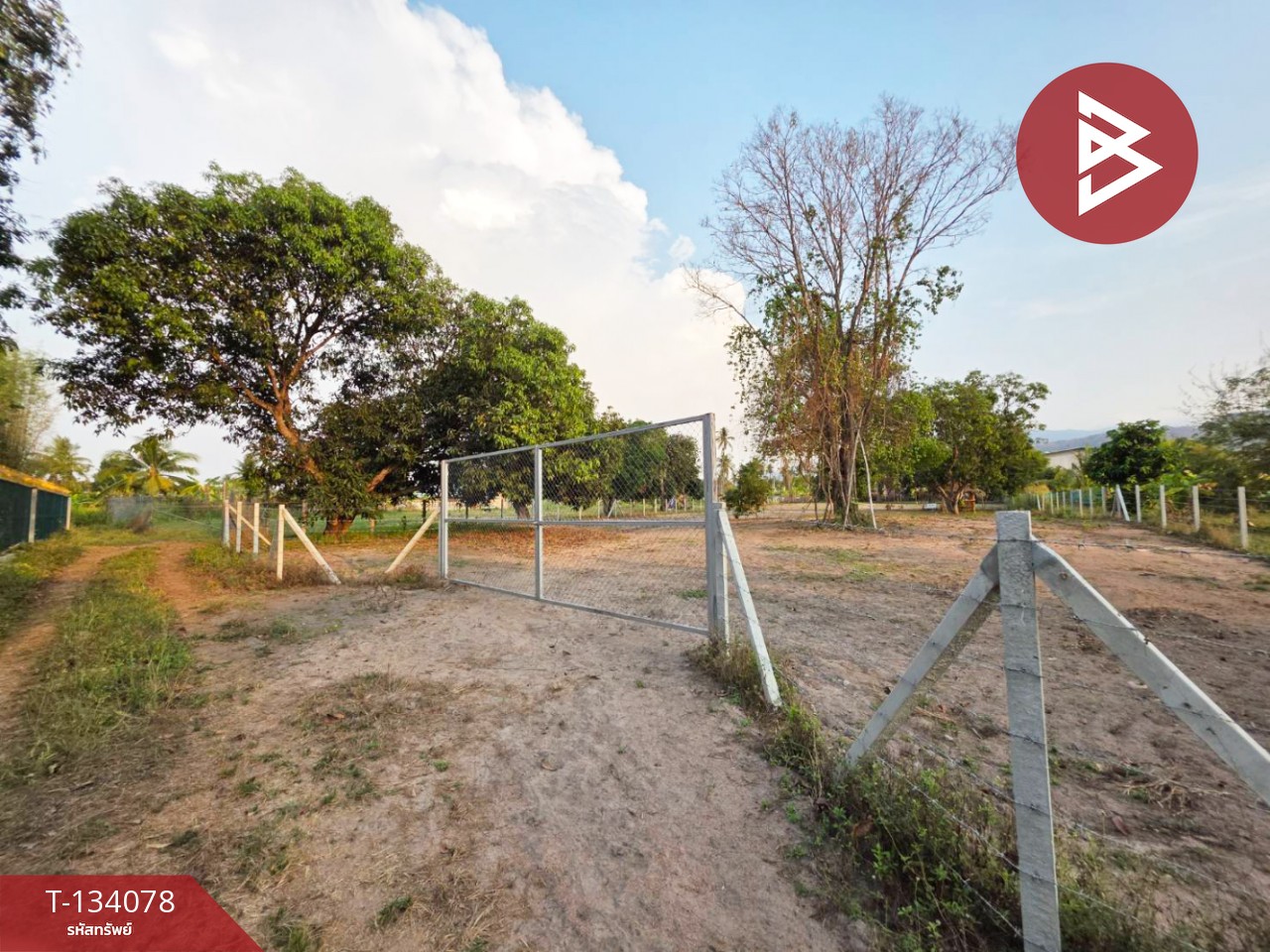 ขายที่ดิน เนื้อที่ 2 ไร่ 1 ตร.วา หนองรี ชลบุรี 11