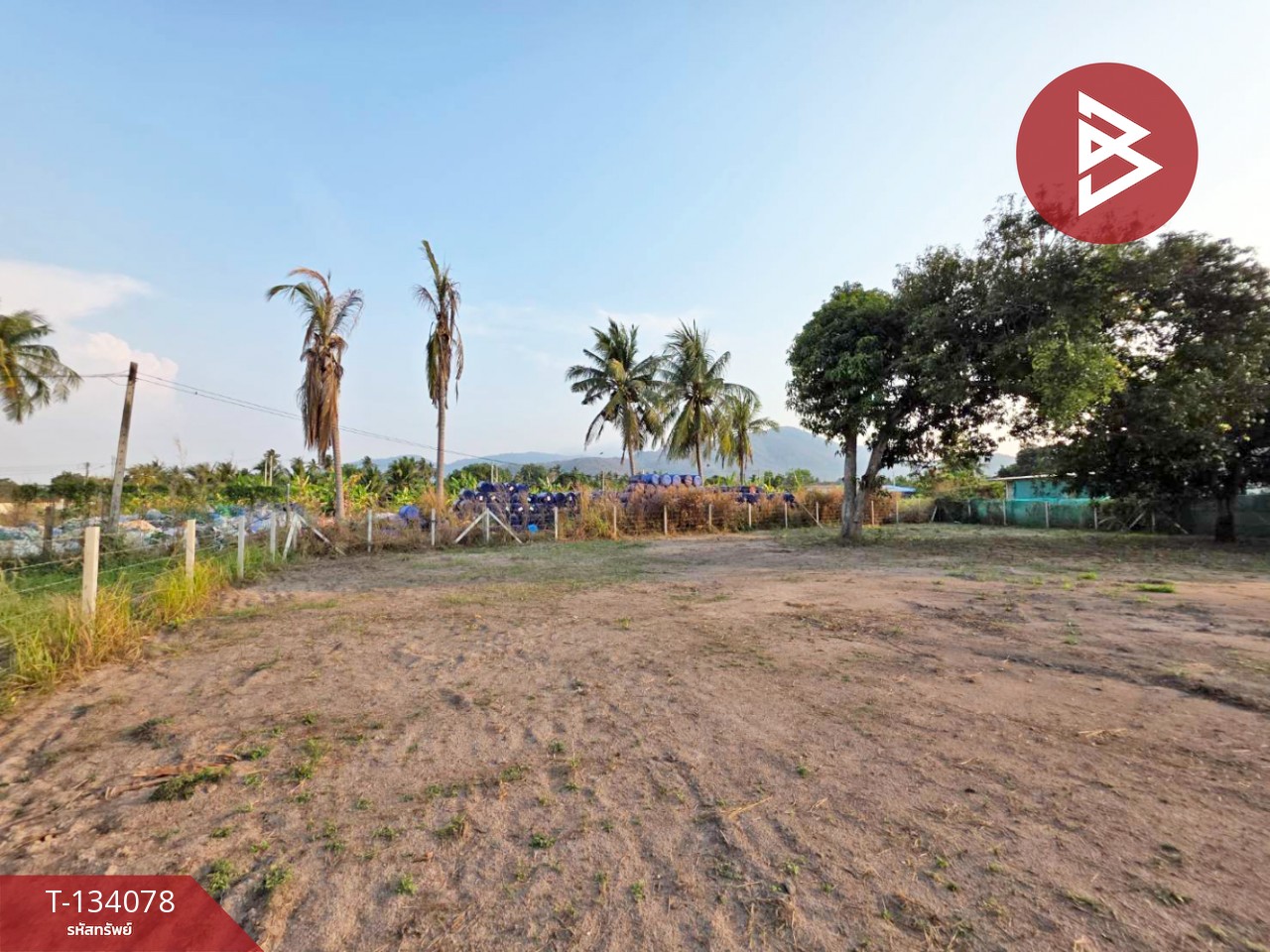 ขายที่ดิน เนื้อที่ 2 ไร่ 1 ตร.วา หนองรี ชลบุรี 8