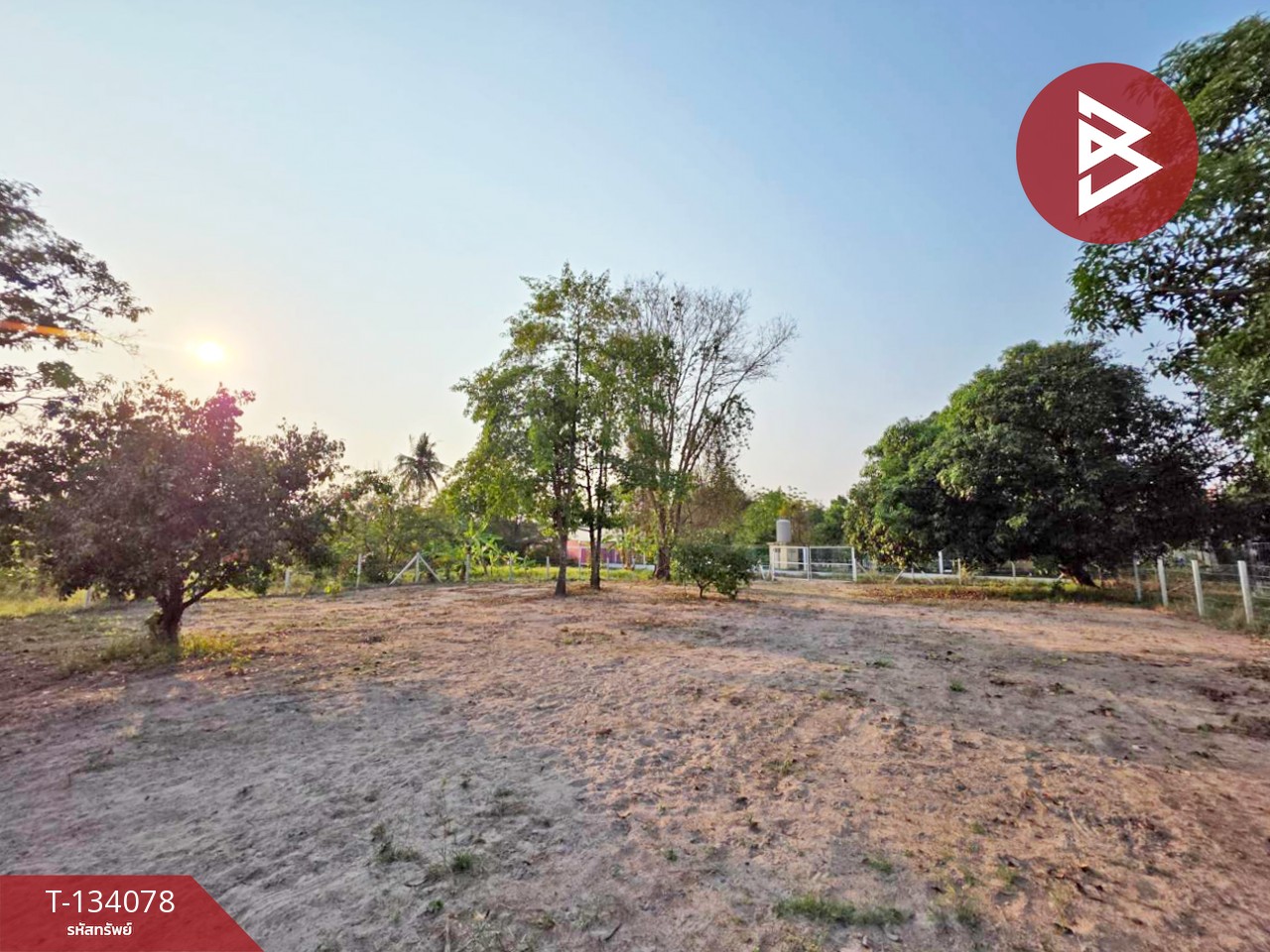ขายที่ดิน เนื้อที่ 2 ไร่ 1 ตร.วา หนองรี ชลบุรี 5