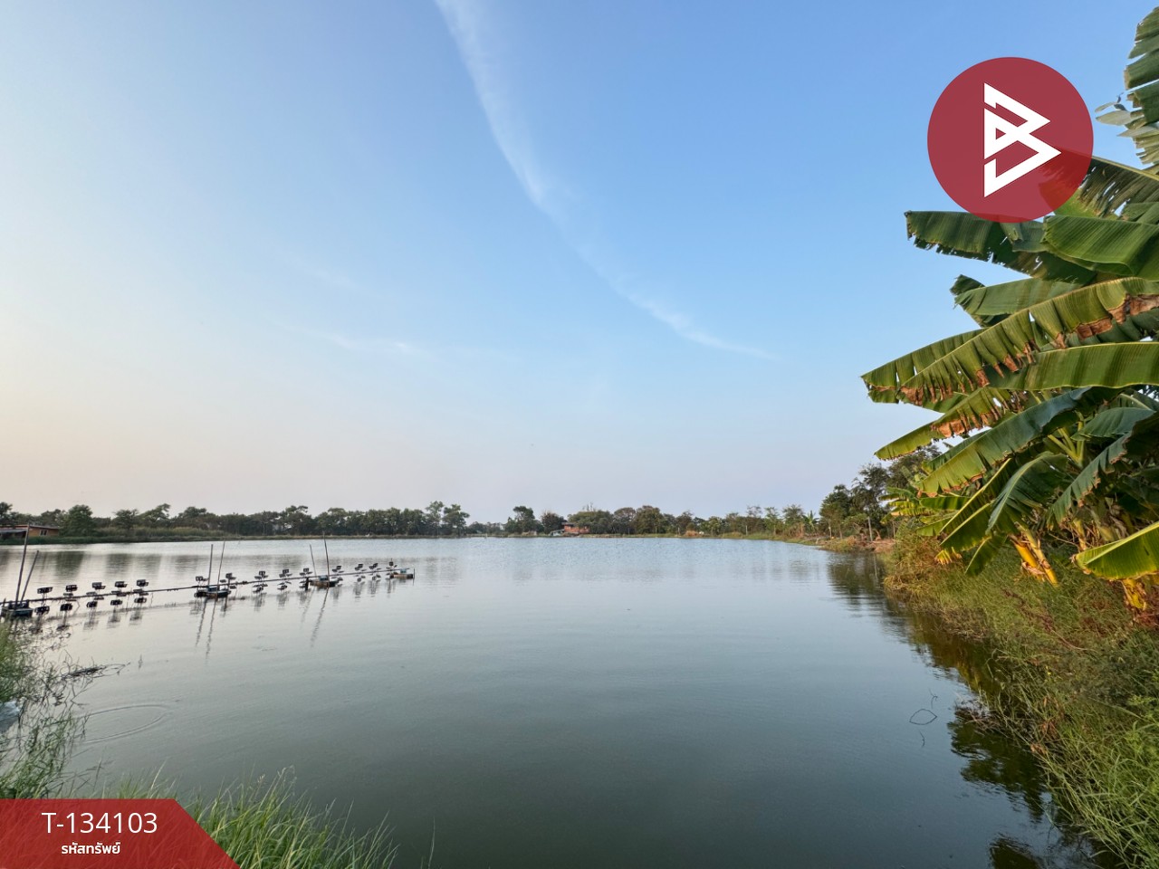 ขายที่ดิน เนื้อที่ 2 ไร่ 2 งาน บางพลี สมุทรปราการ 4