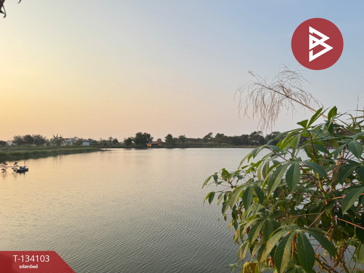 ขายที่ดิน เนื้อที่ 2 ไร่ 2 งาน บางพลี สมุทรปราการ 8