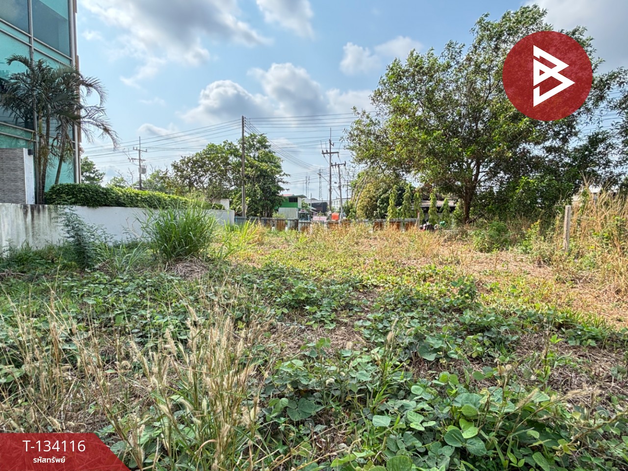 ขายที่ดิน เนื้อที่ 75.6 ตร.วา วัดใหม่ จันทบุรี 6