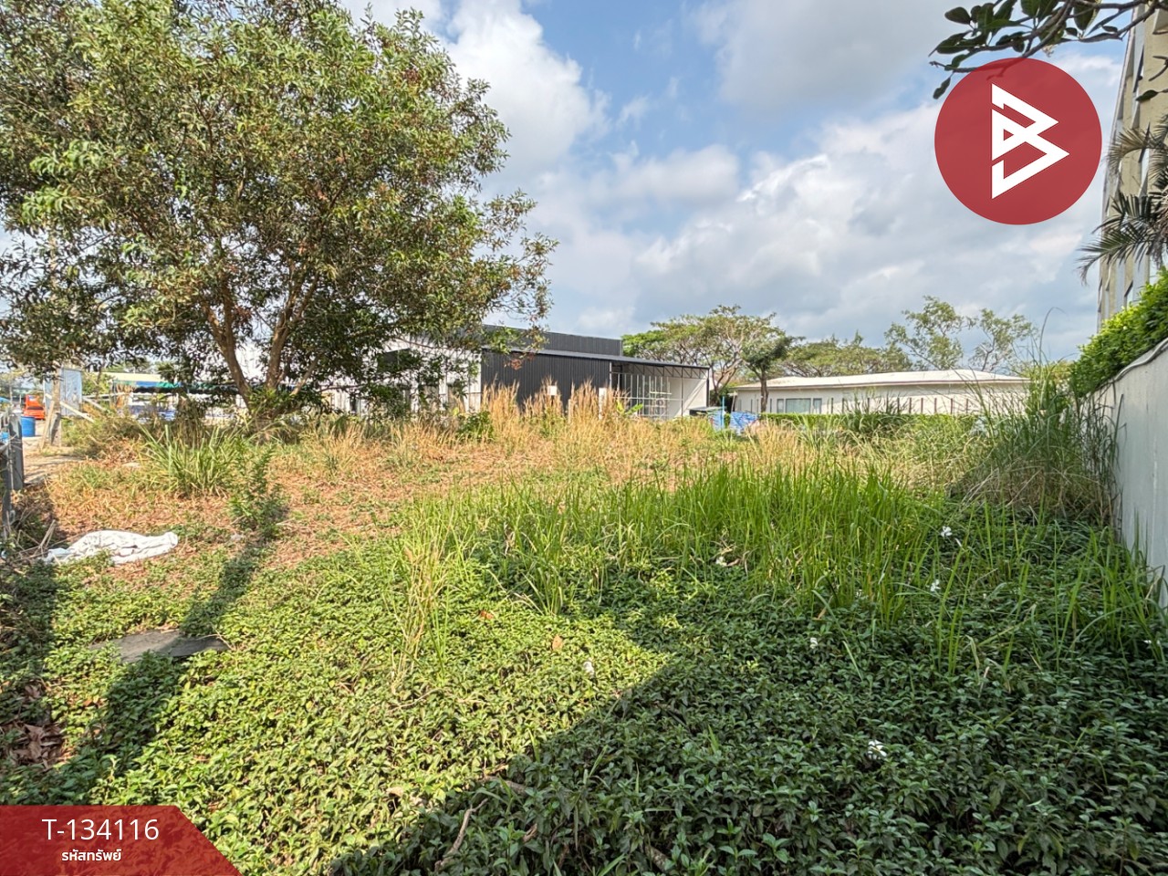 ขายที่ดิน เนื้อที่ 75.6 ตร.วา วัดใหม่ จันทบุรี 4