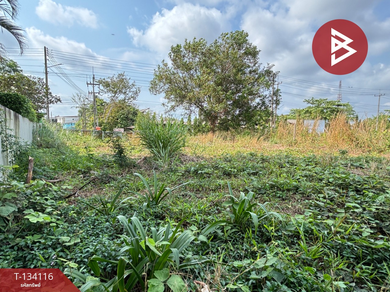 ขายที่ดิน เนื้อที่ 75.6 ตร.วา วัดใหม่ จันทบุรี 7