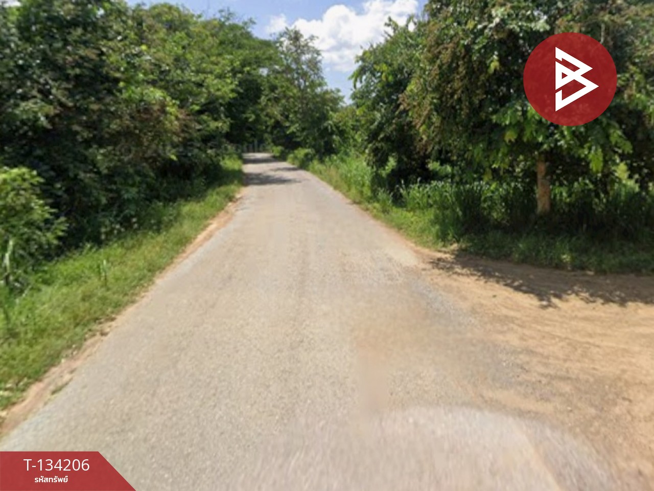 ขายที่ดิน เนื้อที่ 31 ไร่ 1 งาน 68 ตร.วา แก่งกระจาน เพชรบุรี 3