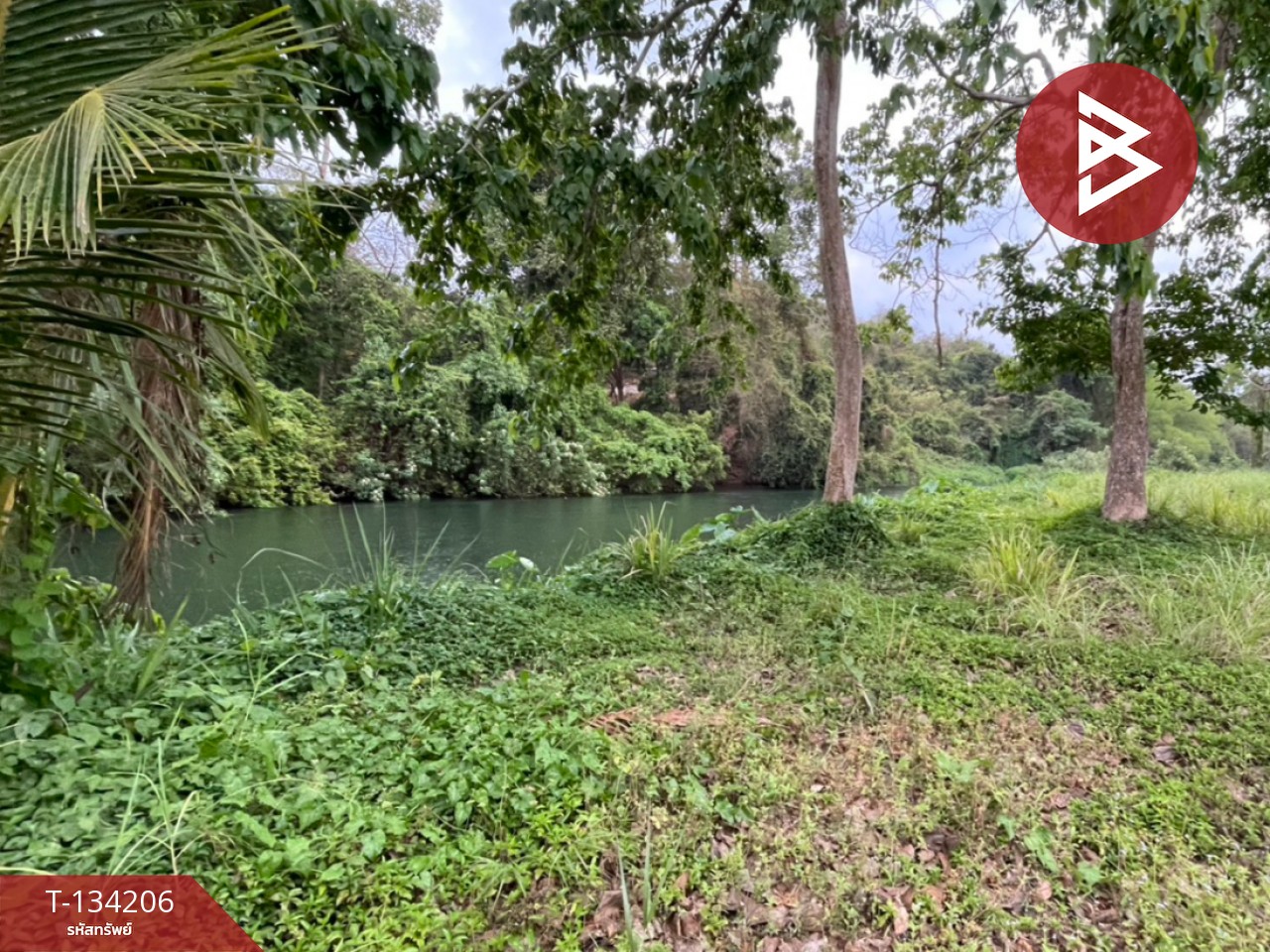 ขายที่ดิน เนื้อที่ 31 ไร่ 1 งาน 68 ตร.วา แก่งกระจาน เพชรบุรี 2