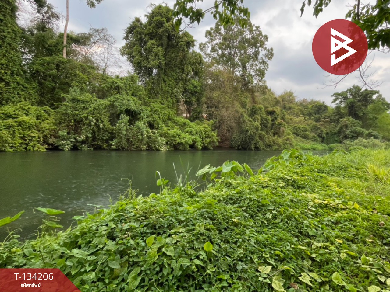 ขายที่ดิน เนื้อที่ 31 ไร่ 1 งาน 68 ตร.วา แก่งกระจาน เพชรบุรี 1